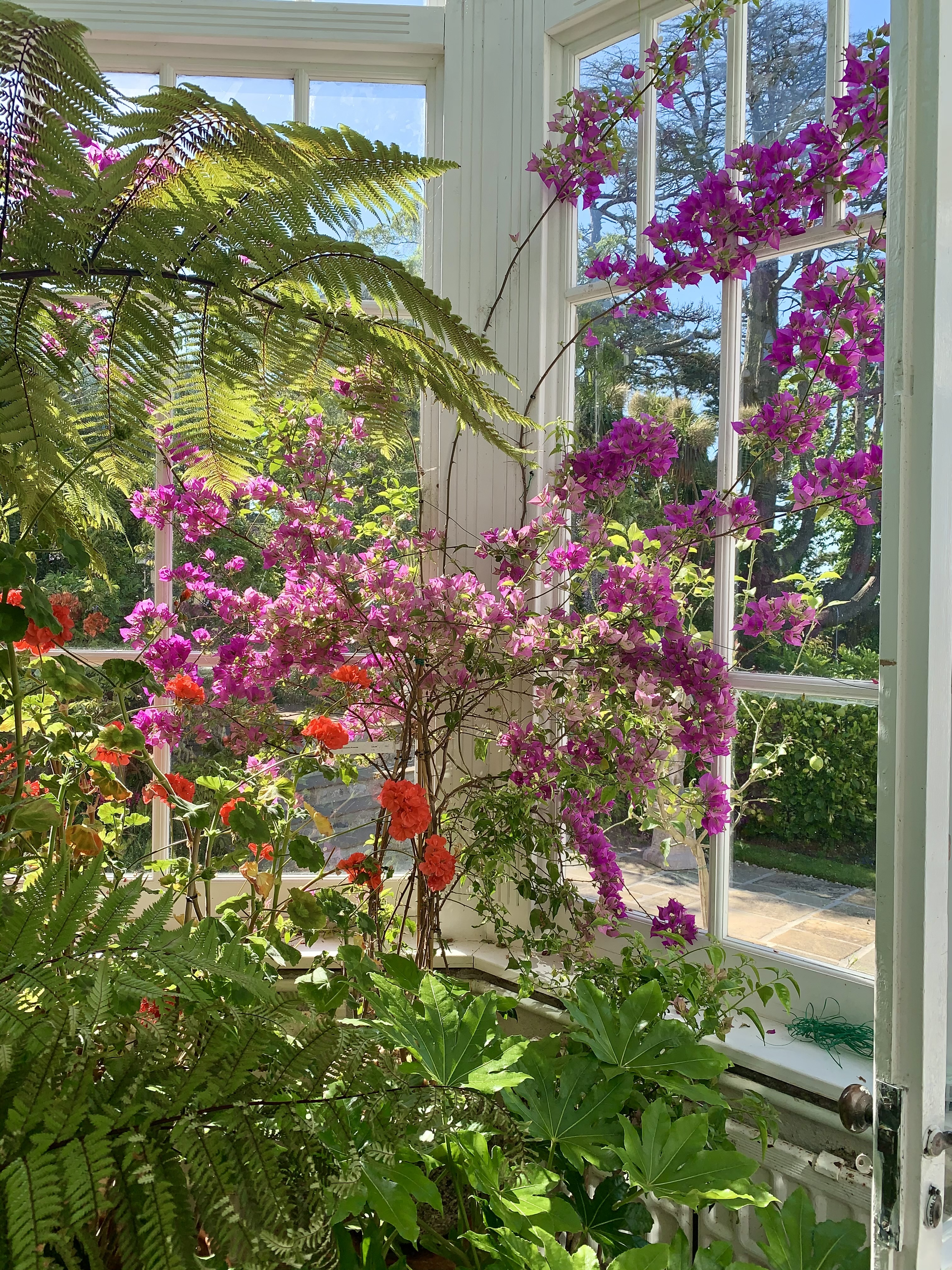 The Wylam conservatory interior